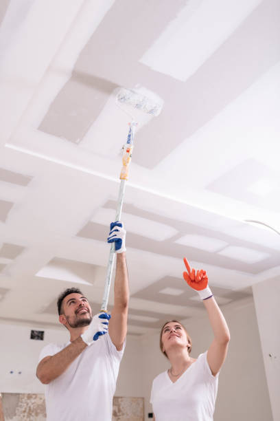 Best Mold Odor Removal Services  in Warsaw, MO