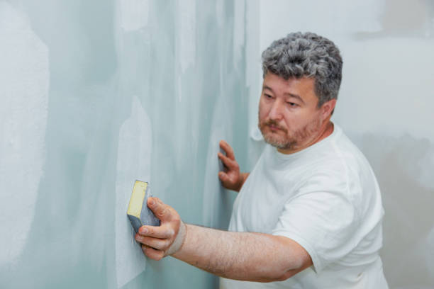 Best Basement Mold Removal  in Warsaw, MO