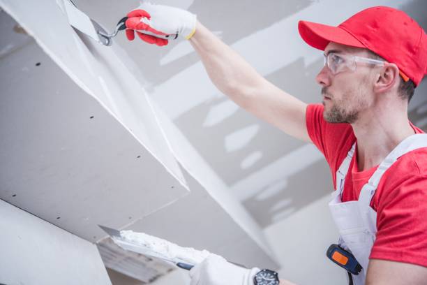  Warsaw, MO Mold Removal Pros